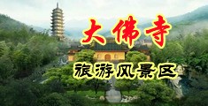 啊啊啊啊啊嗯啊好爽操死我了视频中国浙江-新昌大佛寺旅游风景区